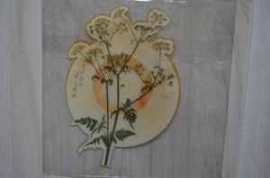 The Country Boys U.K 7" Shaped Picture DIsc “In The Country" EMI Near Mint - Imagen 1 de 2