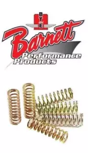 BARNETT CLUTCH SPRINGS C109R/M109R BOULEVARD 2006-2024+GSXR/GSX R 1000 2012-2016 - Foto 1 di 4
