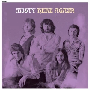 Here Again Misty Vinyl / 12" Album lp Sommor - Imagen 1 de 1