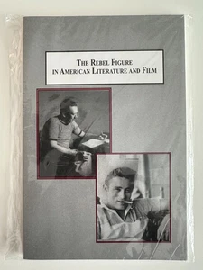 The Rebel Figure in American Literature & Film: Audry Lynch Paperback NEW Sealed - Imagen 1 de 11