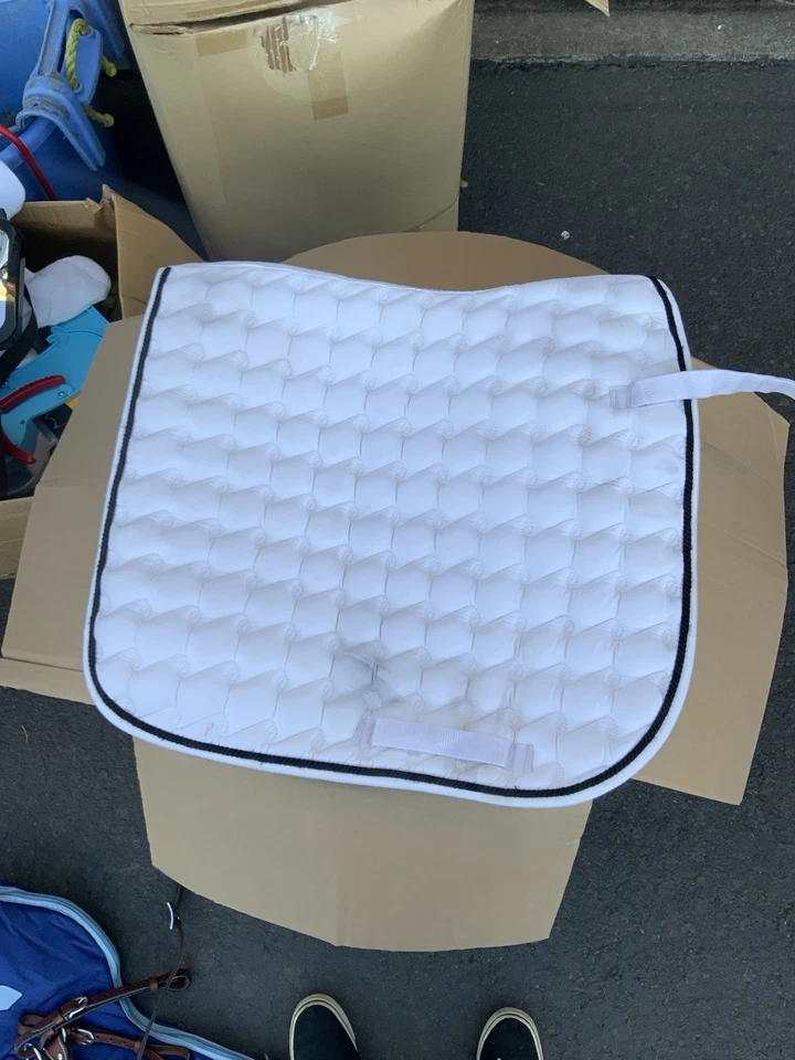 Almohadilla de doma Roma Foto 1 de 1