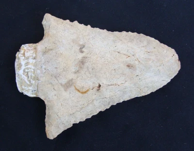 3 1/8 英寸 Snap Base 深南乔治亚州佛罗里达箭头 ~124 ~ — 第 1/3 张图片