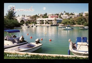 Bermuda postcard Hamilton Harbour Foot of the Lane boats dock hotels - Picture 1 of 2