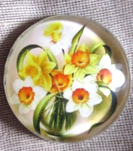 GLASS DOME PICT BUTTON - BEAUTIFUL YELLOW DAFFODILS FLOWERS - 30mm - Picture 1 of 3