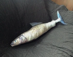 Fish shape Printed Novelty Animal Cushion - Stuffed/Cuddly Toy Plushie Stuffie - Picture 1 of 9