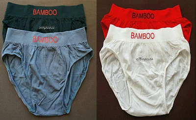 4 Women Panties UNDERWEAR SEAMLESS Briefs BAMBOO Viscose Full Coverage M 32 34 6 - Image 1 of 2