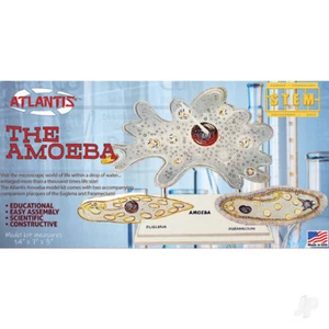Atlantis Models Amoeba Single Cell Plastic Model Science Kit MINT - Bild 1 von 1