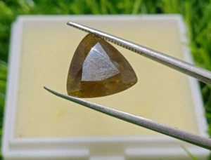 9 Carats Trillion Shape Brilliant cut Yellow Color Natural Sphene Gemstone - Picture 1 of 4