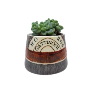 Porta piantina collezione Planetarium Gattinoni - Imagen 1 de 4