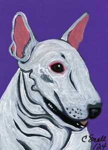 ACEO ATC Pintura Original Blanco Inglés Bull Terrier Perro Mascota Art-C. Smale - Imagen 1 de 2