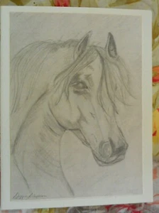 Horse Equine Sympathy Card w/envelope Hand Drawn by seller Condolence USA - Picture 1 of 3