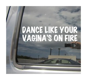 Tanz wie deine Vagina in Flammen - lustiger Humor Fenster Vinyl Aufkleber Sticker 02031 - Bild 1 von 2