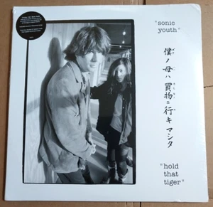 new SONIC YOUTH 2x Lp HOLD THAT TIGER VINYL REISSUE ramones cover set - Imagen 1 de 6