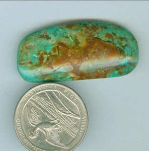 40 Carats Stabilized American Turquoise Green Tree Mine Free Form Turquoise Cab - Picture 1 of 1