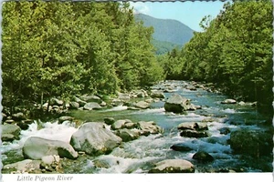Little Pigeon River, Great Smoky Mountains National Park, Tennessee Postcard - Picture 1 of 2