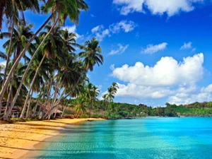 V2288 Paradise Palms Sea Beautiful Ocean Tropical Beach WALL POSTER PRINT UK - Picture 1 of 13