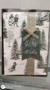 Anna Griffin 3-D TOILE WINTER EMBELLISHED CHRISTMAS CARDS handmade NEW set 10 - Picture 1 of 2