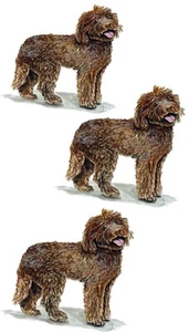 Decal Vinyl Sticker Labradoodle - Minis Set of 3Printed Vinyl Decals Made in USA - Picture 1 of 1