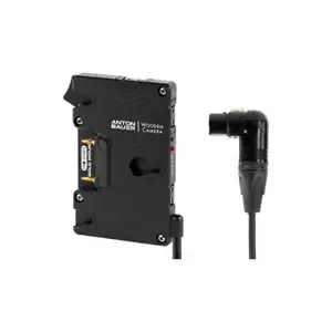 Wooden Camera Pro Gold-Mount Plate with 4-Pin XLR Right Angle Connector #260300 - Picture 1 of 1
