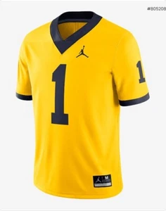 Jordan Michigan Wolverines Mens Dri-FIT College Football Jersey Size M - Picture 1 of 2