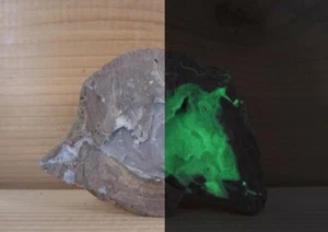 Fluorescent Dugway Geode Mineral Specimen - Dugway Geode Beds, Juab Co., Utah - Picture 1 of 8