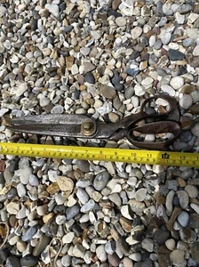 Antique T.Wilkinson & Sons Heavy Duty Tailors Scissors 13” - Picture 1 of 15