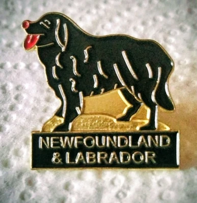 PIN PERRO TERRANOVA NEGRO DE TERRANOVA Y LABRADOR AÑOS 80 Foto 1 de 3