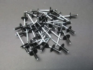50 NUEVOS remaches corporales para moto de nieve 3/16" negros PARA RUPP Arctic Cat Ski-Doo Polaris - Imagen 1 de 1