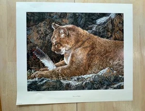 “Paws and Reflect," a print by artist Judy Larson Litho Print 102 - Picture 1 of 6