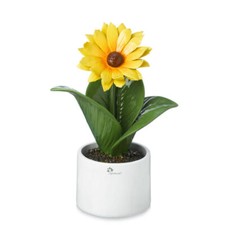 Gli Alberelli Pianta Natura Girasole ceramica di Capodimonte diffusore