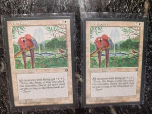 (2) MTG Magic the Gathering Serra Aviary (14/140) Homelands LP - Picture 1 of 2