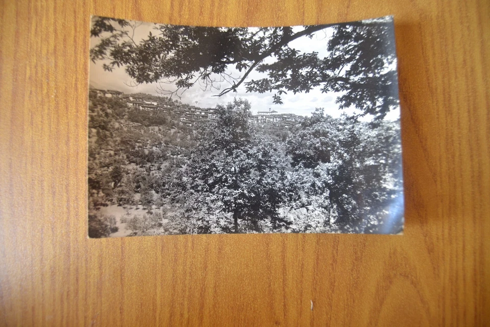 Postcard Black Panorama from the Chestnut Trees Traveled 1950 Subalpine XX - Image 1 of 1