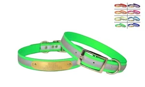 WARNER SPORT REFLEKTIERENDES DAYGLO HUNDEHALSBAND NEONGRÜN 23" KOSTENLOSES MESSING AUSWEISSCHILD - Bild 1 von 6