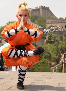 Abito Shaolin Bambini Adulti Arancione Cotone Uniforme Kung Fu Costumi Halloween - Foto 1 di 8