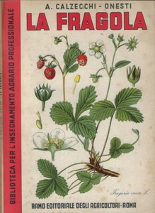 La fragola. . Antonio Calzecchi-Onesti. 1951. . - Imagen 1 de 1