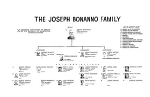 JOSEPH BONANNO FAMILY CHART 8X10 PHOTO MAFIA ORGANIZED CRIME MOB MOBSTER PICTUR - Foto 1 di 1