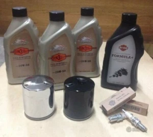 Kit Inspección Screamin Águila Buell XB9 XB12 XB12S Xb 9 Ulises Lightning 1125cr - Imagen 1 de 12