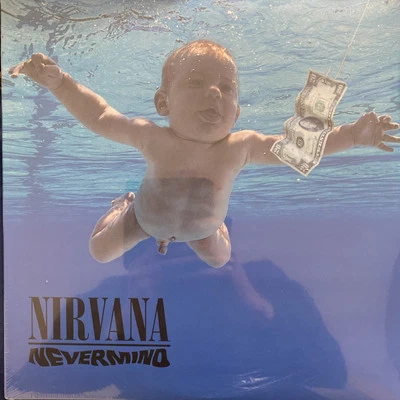 Nirvana -Nevermind [20th Anniversary Picture Disc Set], as new, collection only - Image 1 of 4