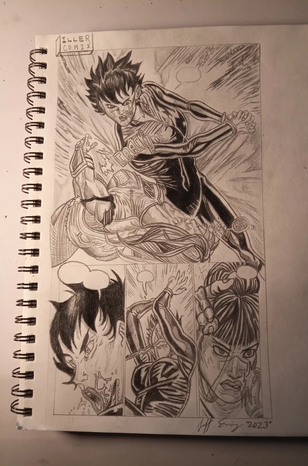 Catwoman Ferocious Punch de Jeff Ewing Foto 1 de 1