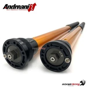 Cartouches Andreani Rally Race pour WP 48 pour KTM 1290 Adventure R 2022> - Photo 1/9