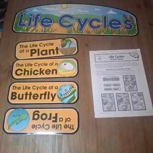 Lebenszyklen Pinnwand Display Informationen Klassenzimmer Poster Wissenschaft LESEN - Bild 1 von 17