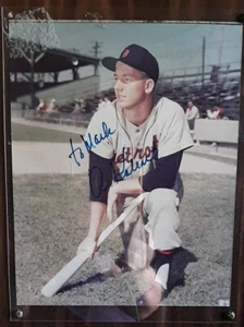 Al Kaline Memorabilia Firmado 8x10 Foto Tigres Autógrafo 8 in Pantalla protectora - Imagen 1 de 3