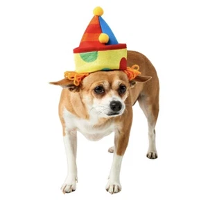 Costume Halloween cane o gatto cappello pagliaccio taglia media o piccola S/M - Foto 1 di 4
