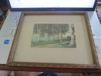 J. C. Bicknell Signed THE BIRCHES Framed Hand Tinted Photo Vintage - Image 1 of 4