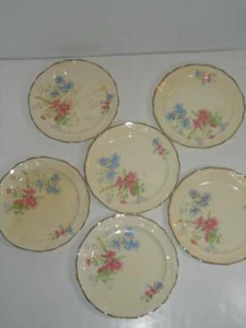 SET OF 6 VINTAGE TAYLOR SMITH TAYLOR TST CO FLORAL 6" BREAD PLATES - Picture 1 of 7