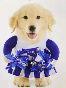 Cheerleader Hundekostüm Go Team blau & weiß Größe Large Haustierbekleidung mit Bommeln - Bild 1 von 7