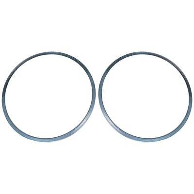 Par de filtros de partículas diésel con junta DPF para Volvo Mack 14" D.O. x 13" I.D. Foto 1 de 3