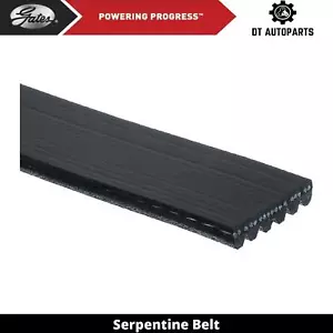 For 2003-2008 Mazda 6 3L V6 GAS Serpentine Belt Gates 2004 2005 2006 2007 - Picture 1 of 5