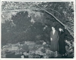 1933 Detroit MI North American Flower Show Natural Rock Garden Pressefoto - Bild 1 von 2
