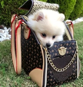 Fashionable Pet Carrier Handbag Large Capacity Zipper Closure - Picture 1 of 5